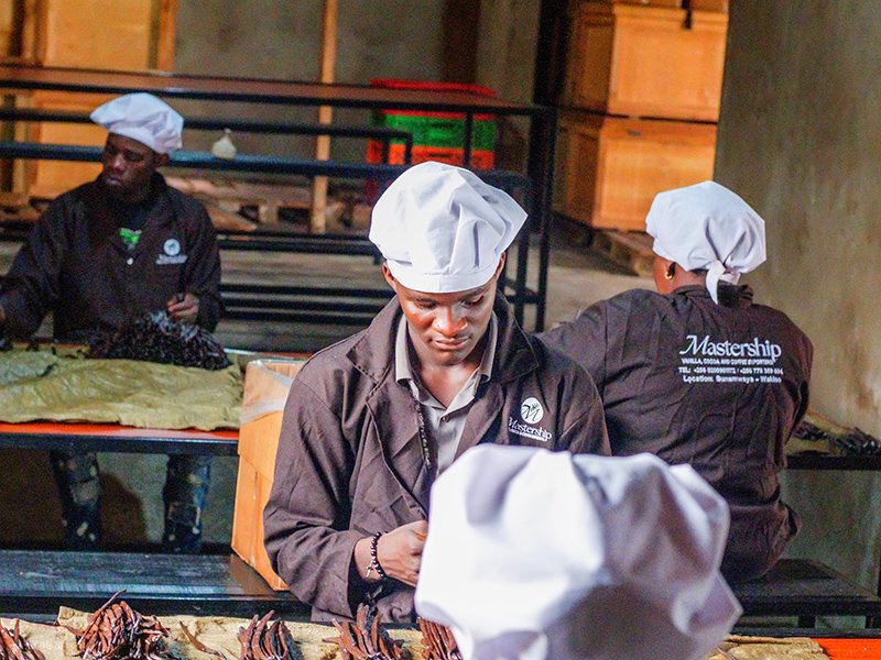 Top 3 Best vanilla beans suppliers in uganda - Vanilla Exporters in Uganda