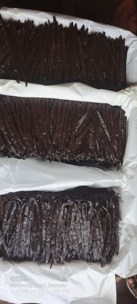 gourmet Grade 1 Vanilla Beans from Uganda