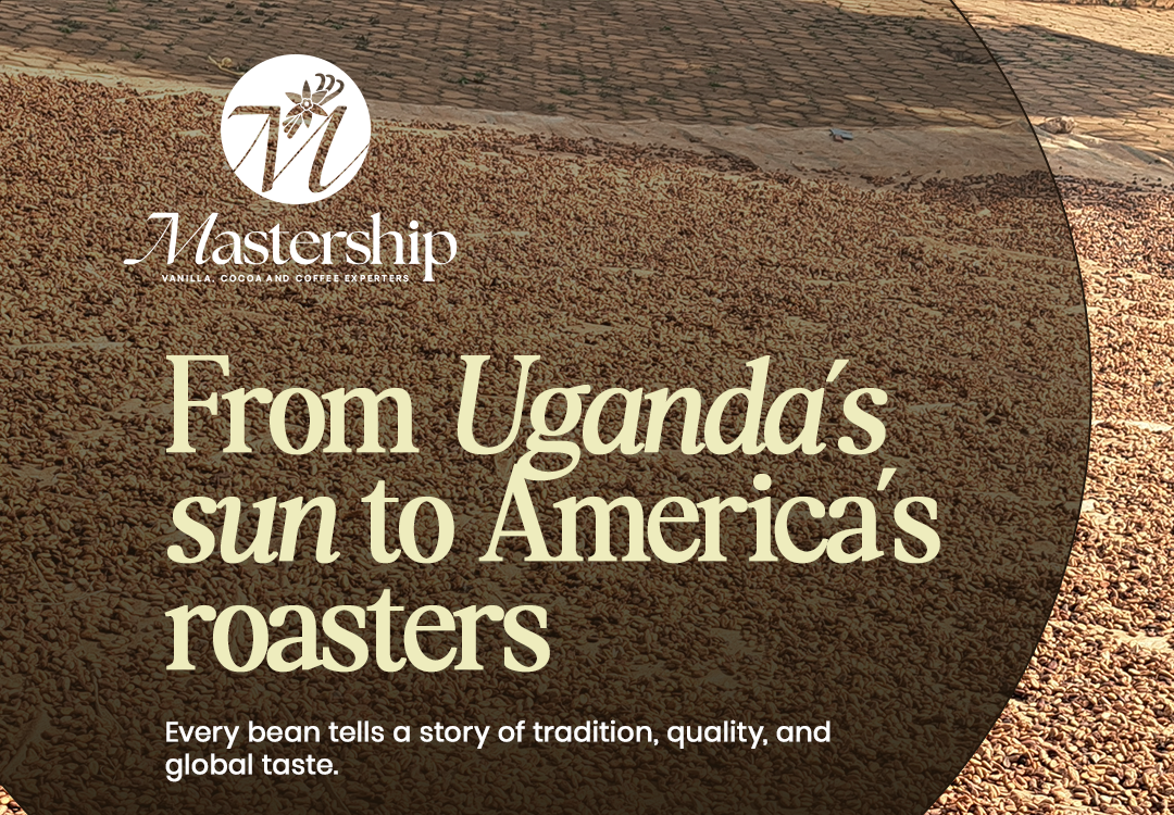 Best vanilla beans suppliers in uganda - Vanilla Exporters in Uganda